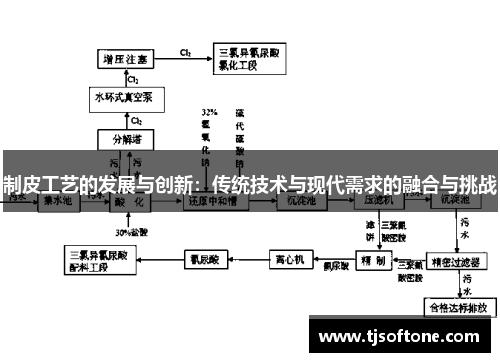 制皮工艺的发展与创新：传统技术与现代需求的融合与挑战